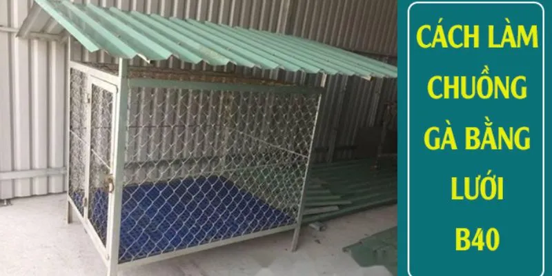 Ưu điểm của chuồng gà bằng loại lưới B40