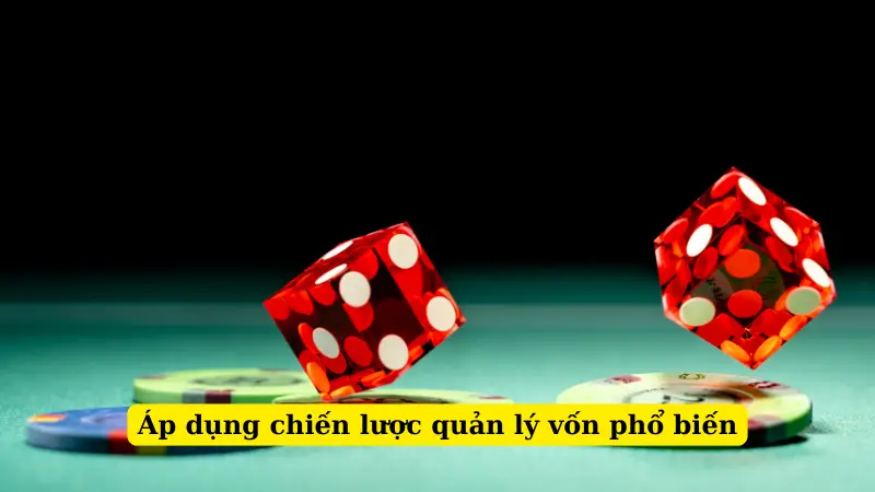 Áp dụng chiến lược quản lý vốn phổ biến