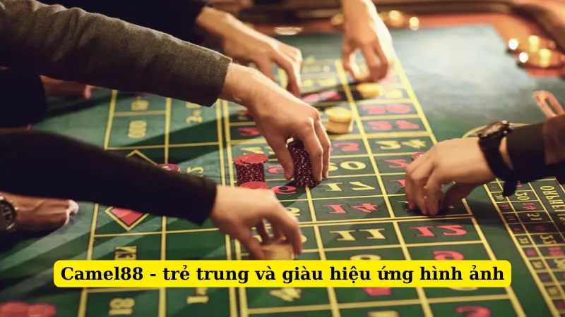 Camel88 - trẻ trung và giàu hiệu ứng hình ảnh
